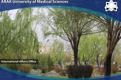 University Photo Gallery