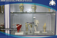 Anatomy Laboratory