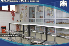 Anatomy Laboratory