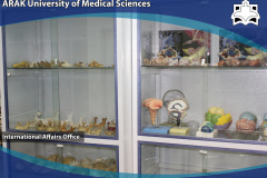 Anatomy Laboratory