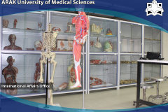 Anatomy Laboratory