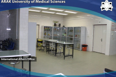 Anatomy Laboratory