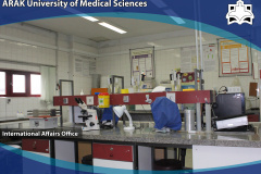 Bacteriology Laboratory