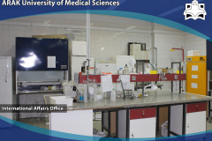 Bacteriology Laboratory