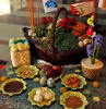 Nowruz is the beginning of evolution and novelty